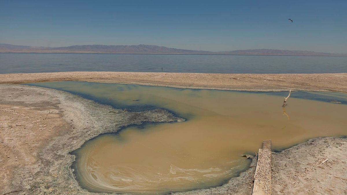 Salton Sea