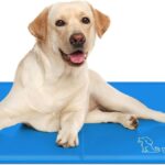 Un chien sur un tapis rafraichissant.