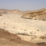 Désert du Neguev en Israël.
