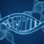 Représentation 3D d’une molécule d’ADN en double hélice sur fond bleu