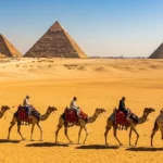 Caravane de chameaux devant les pyramides de Gizeh en Égypte