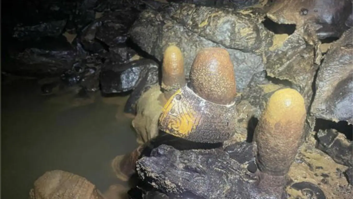 Objet mystérieux fossile dans une grotte mexicaine, partiellement recouvert de minéraux