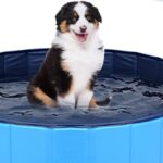Piscine pour chien
