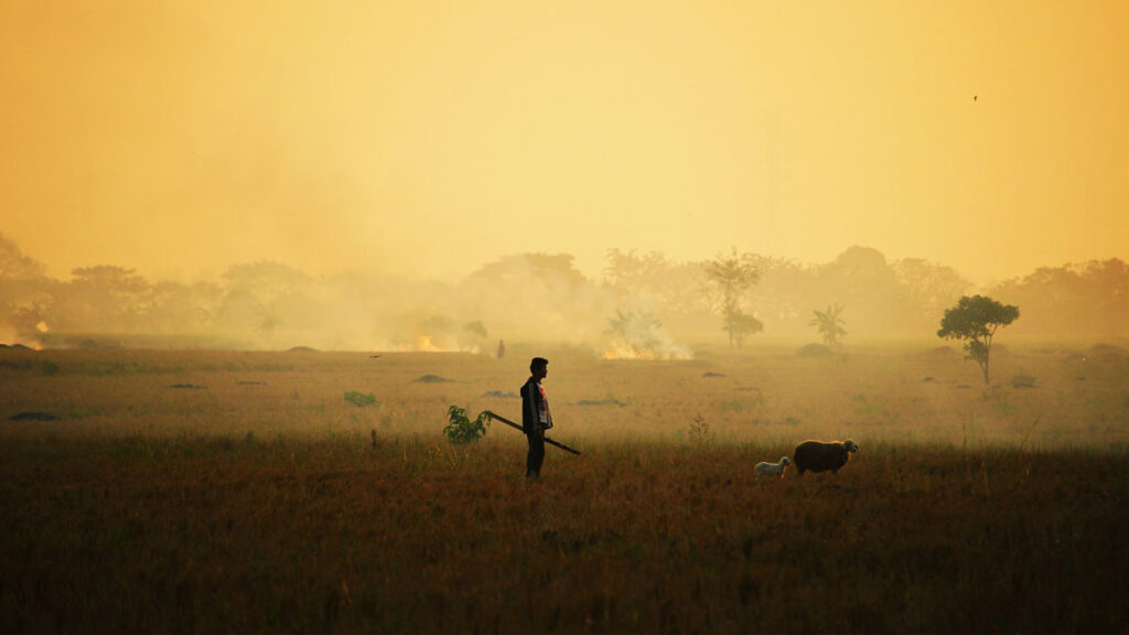 changement climatique