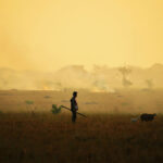 Saison Changement Climatique