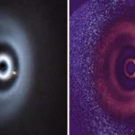 Images astronomiques montrant des anneaux brillants dans un disque protoplanétaire, signes de la formation d’une jeune planète.