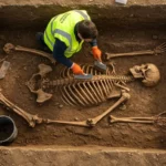 Archéologue nettoyant un squelette humain médiéval parfaitement conservé