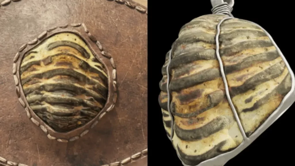 Pendentif romain façonné dans un fossile de trilobite, découvert en Galice, Espagne.