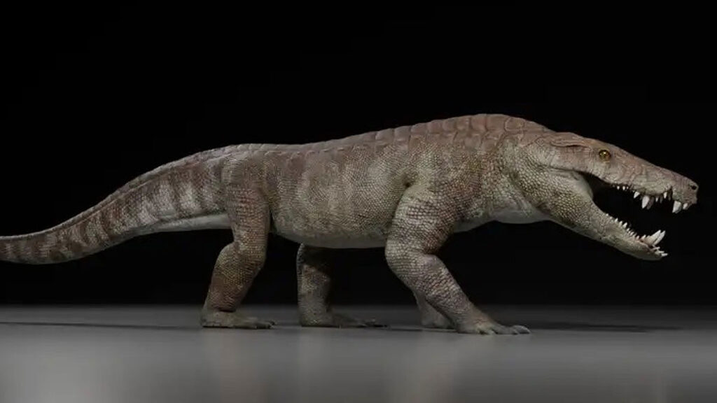 Vue d’artiste de Kostensuchus atrox