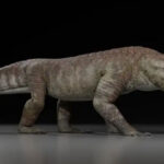 Vue d’artiste de Kostensuchus atrox