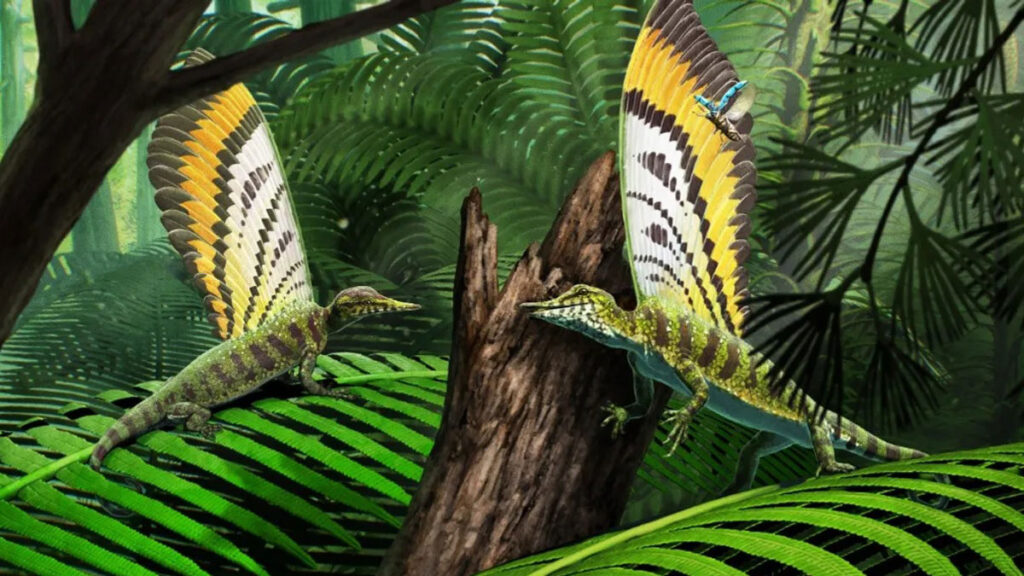 Un reptile à la crête imposante