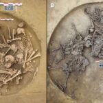 Vues aériennes de deux fosses de l'âge de pierre remplies de squelettes humains creusées en France