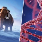 Montage montrant un mammouth laineux marchant dans la neige à gauche et une double hélice d’ADN en gros plan à droite.