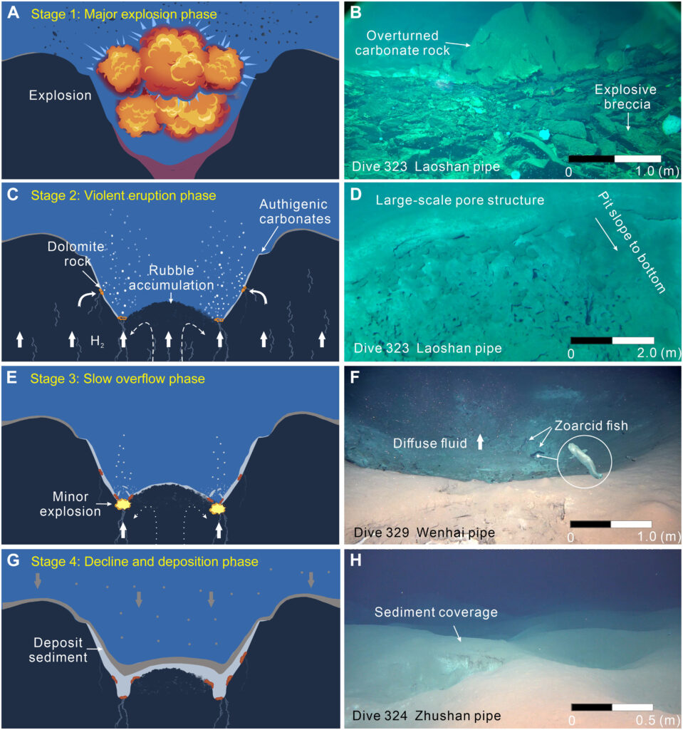 Une découverte incroyable dans les profondeurs du Pacifique surpasse la célèbre « Cité perdue »