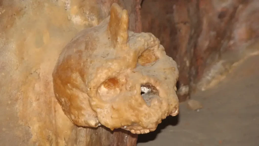 Crâne fossile humain vieux de 300 000 ans découvert dans une grotte en Chine, partiellement incrusté dans la roche.