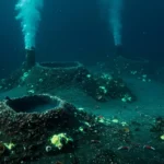 Cheminées hydrothermales sous-marines rejetant des panaches de fumée dans les profondeurs du Pacifique.