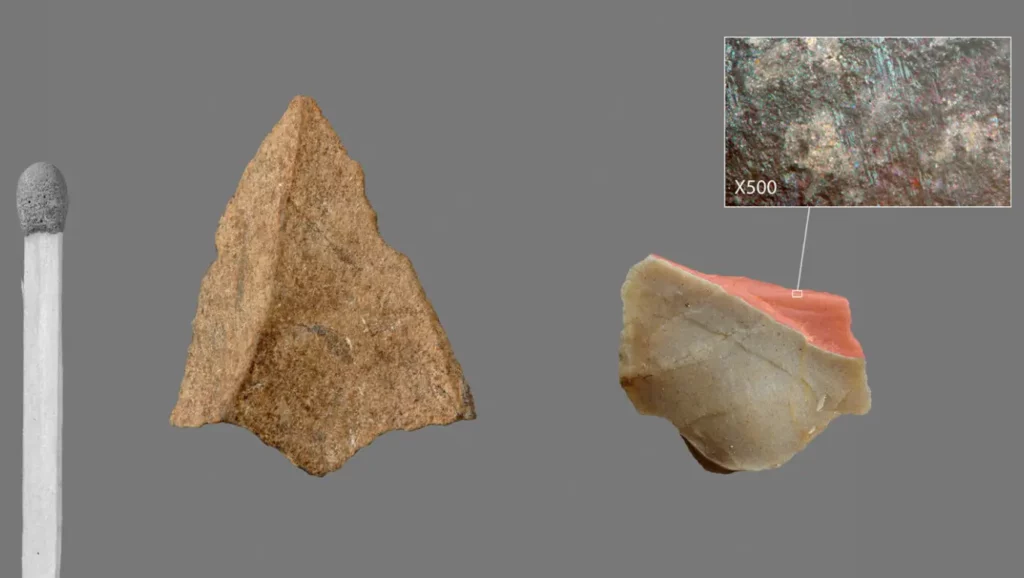 Deux micro-pointes de flèches taillées il y a environ 80 000 ans, découvertes sur le site archéologique d’Obi-Rakhmat en Ouzbékistan.