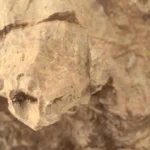 Image prise par le rover Perseverance sur Mars montrant une roche en forme de tête de tortue.