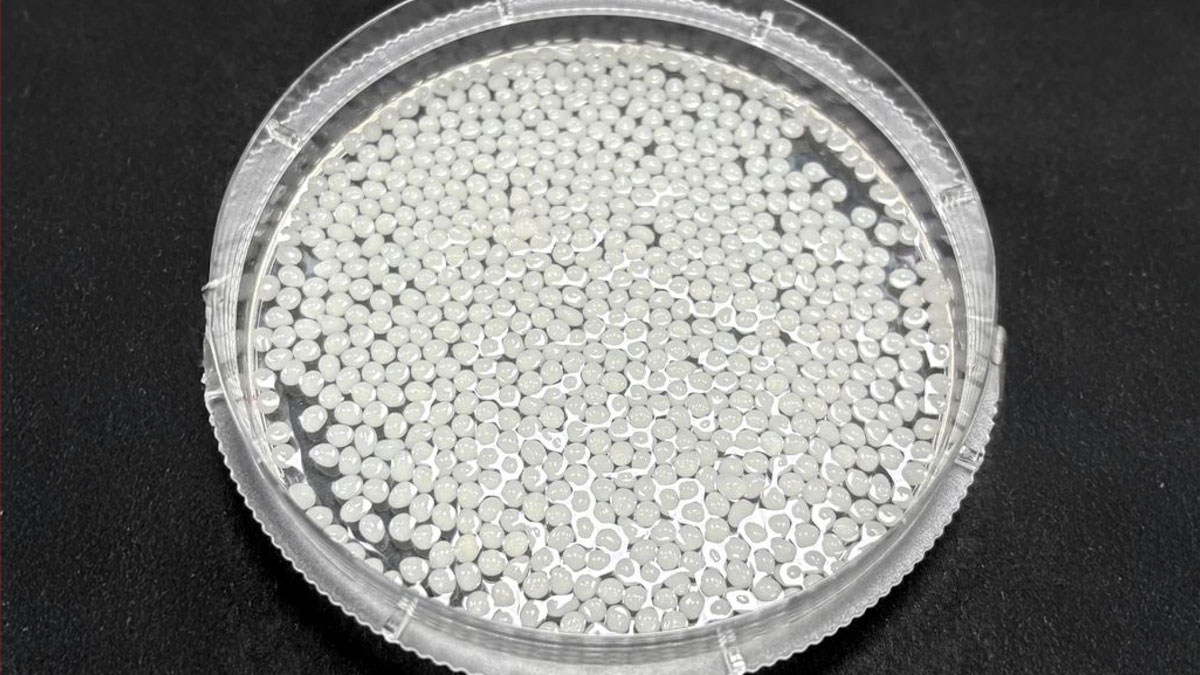 Micro-billes végétales