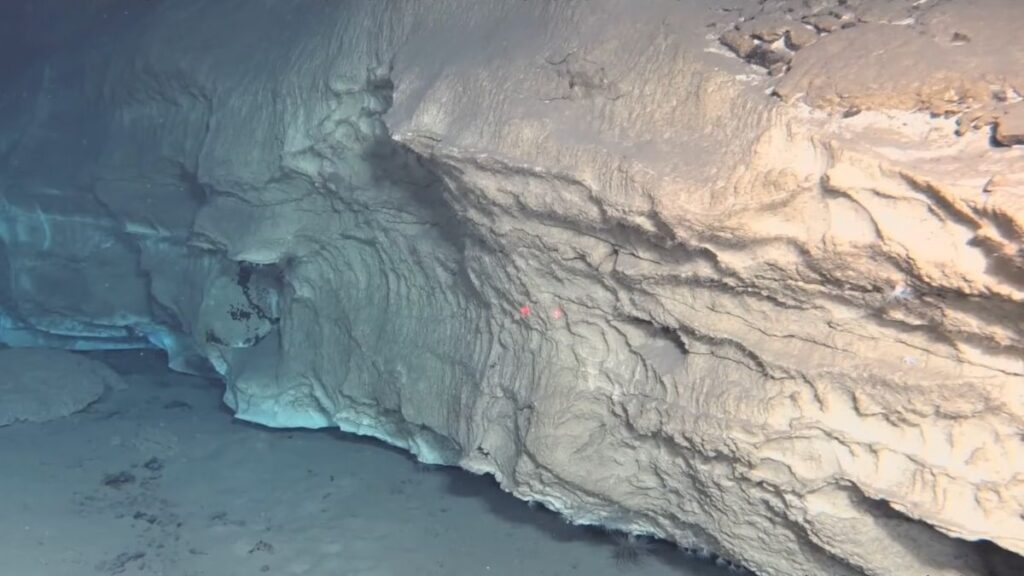 Une découverte incroyable dans les profondeurs du Pacifique surpasse la célèbre « Cité perdue »