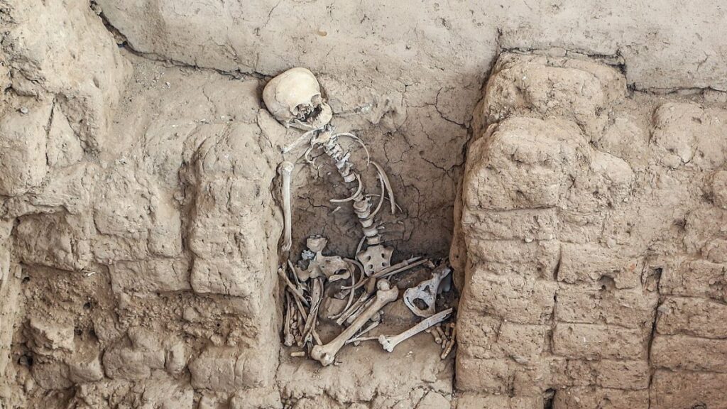 Squelette découvert au Pérou