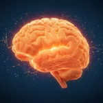 Illustration d’un cerveau humain lumineux sur fond sombre, symbolisant l’activité neuronale et la régénération cérébrale.
