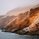 Falaises rouges du littoral péruvien couvertes d’oiseaux marins, sous une brume côtière, surplombant l’océan Pacifique.