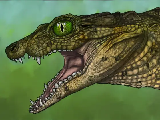 Illustration de Thikarisuchus xenodentes, petit crocodile du Crétacé aux dents particulières.