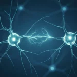 Illustration de neurones connectés par une impulsion électrique symbolisant la communication entre cellules nerveuses.