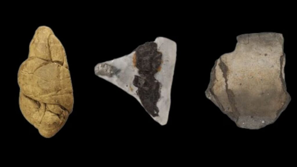 chewing-gum Néolithique