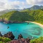 Vue aérienne d’une île japonaise verdoyante entourée d’eau turquoise, bordée d’une plage de sable fin, avec des oiseaux en vol au premier plan.