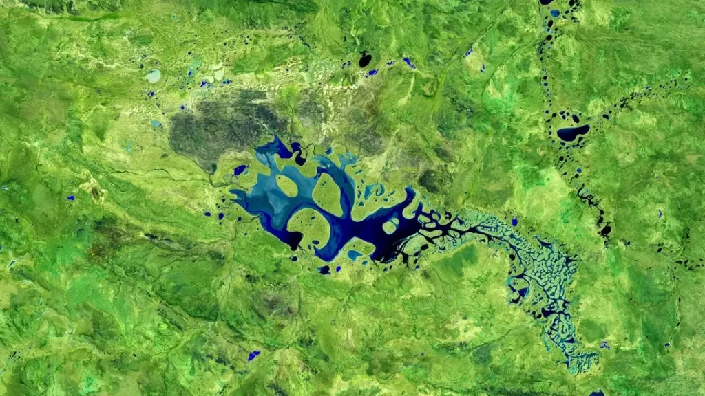 Image satellite du lac Carnegie en Australie, affichant des motifs bleus et verts sinueux évoquant un organisme vivant vu du ciel.