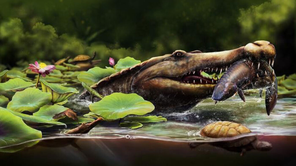 Vue d’artiste de W. kassabi