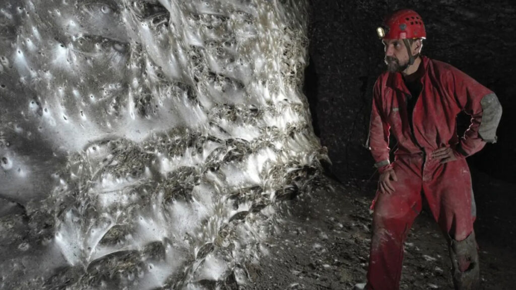 La plus grande toile d’araignée au monde