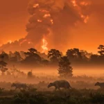 Paysage préhistorique avec des mammifères fuyant devant une éruption volcanique sous un ciel rougeoyant.