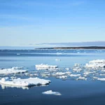 Vue d’une mer froide avec morceaux de glace et plaques de banquise flottantes, sous un ciel bleu, avec une côte au loin.
