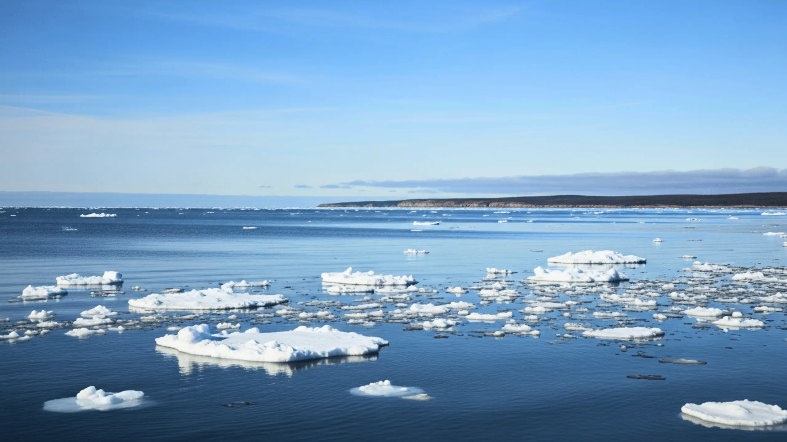 Vue d’une mer froide avec morceaux de glace et plaques de banquise flottantes, sous un ciel bleu, avec une côte au loin.