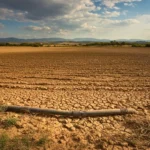Champ totalement asséché avec sol craquelé sous un ciel partiellement nuageux, représentant l’impact de la sécheresse et du changement climatique en Europe.