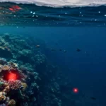 Récif corallien sous-marin avec poissons et mystérieuse lueur rouge évoquant les changements climatiques dans l’océan.