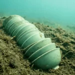 Rangée de bols anciens reposant sous l’eau, partiellement enfouis dans les sédiments et étonnamment bien conservés.