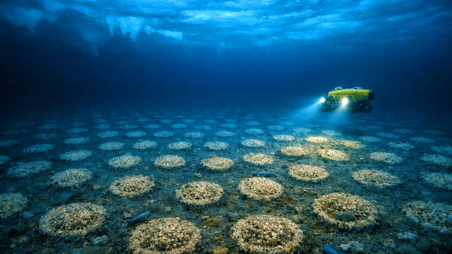 Un submersible jaune explore un champ de structures circulaires alignées sur le fond marin, illuminé sous une épaisse couche de glace avec des poissons autour.
