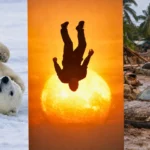 Trois scènes en collage : un ours polaire joue dans la neige, un homme semble tomber vers un soleil incandescent, et des voitures ensevelies dans la boue après un ouragan en Jamaïque.