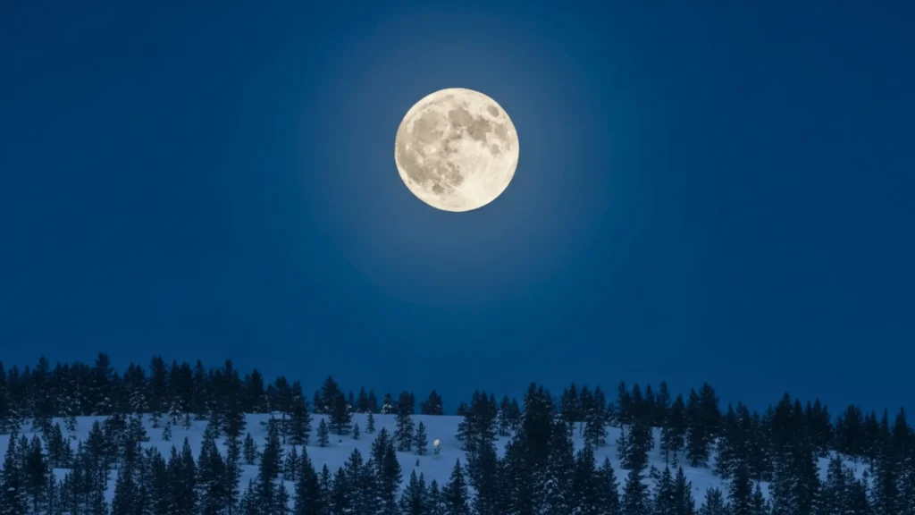 Super lune du Loup brillante dans le ciel d'hiver au-dessus d'une forêt enneigée.