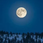 Super lune du Loup brillante dans le ciel d'hiver au-dessus d'une forêt enneigée.