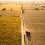 Vue aérienne de champs agricoles asséchés en France, séparés par un chemin rural, avec un tracteur circulant sur une parcelle touchée par la sécheresse.