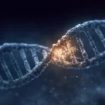 Gros plan réaliste d’une double hélice d’ADN humain, avec une section centrale nettement visible et le reste de la structure estompé dans l’obscurité.
