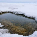 Mare d’eau de fonte circulaire au cœur de la banquise antarctique, entourée de glace blanche, révélant un refuge potentiel pour la vie microbienne.