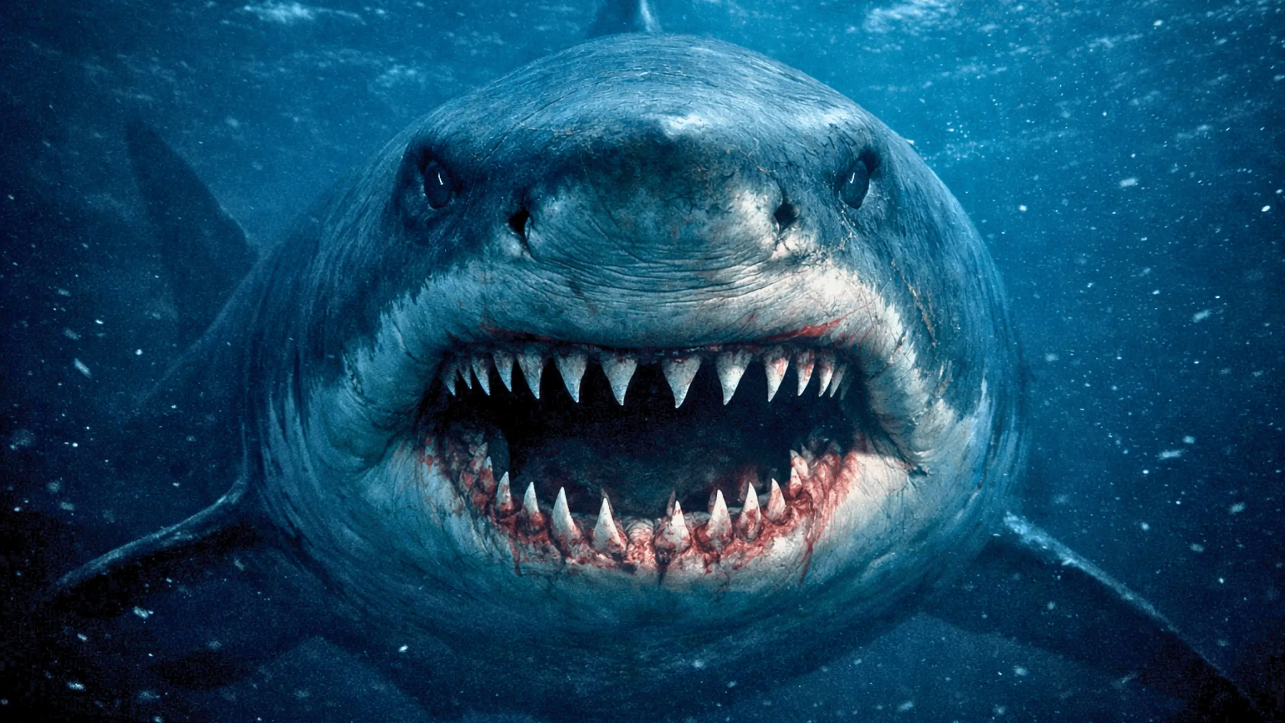 Requin géant préhistorique surgissant des profondeurs, gueule entrouverte et dents acérées visibles dans une eau sombre et menaçante.
