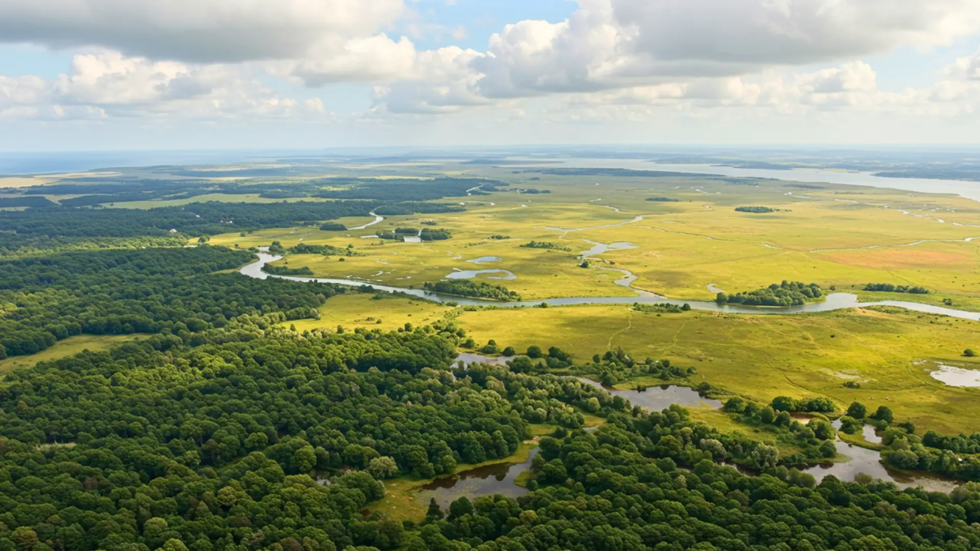 Paysage aérien de plaines verdoyantes et rivières sinueuses évoquant le Doggerland, ancienne terre submergée entre l’Europe et la Grande-Bretagne