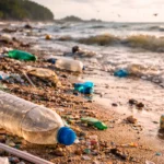 Déchets plastiques et bouteilles en plastique échoués sur une plage polluée par les microplastiques en bord de mer.